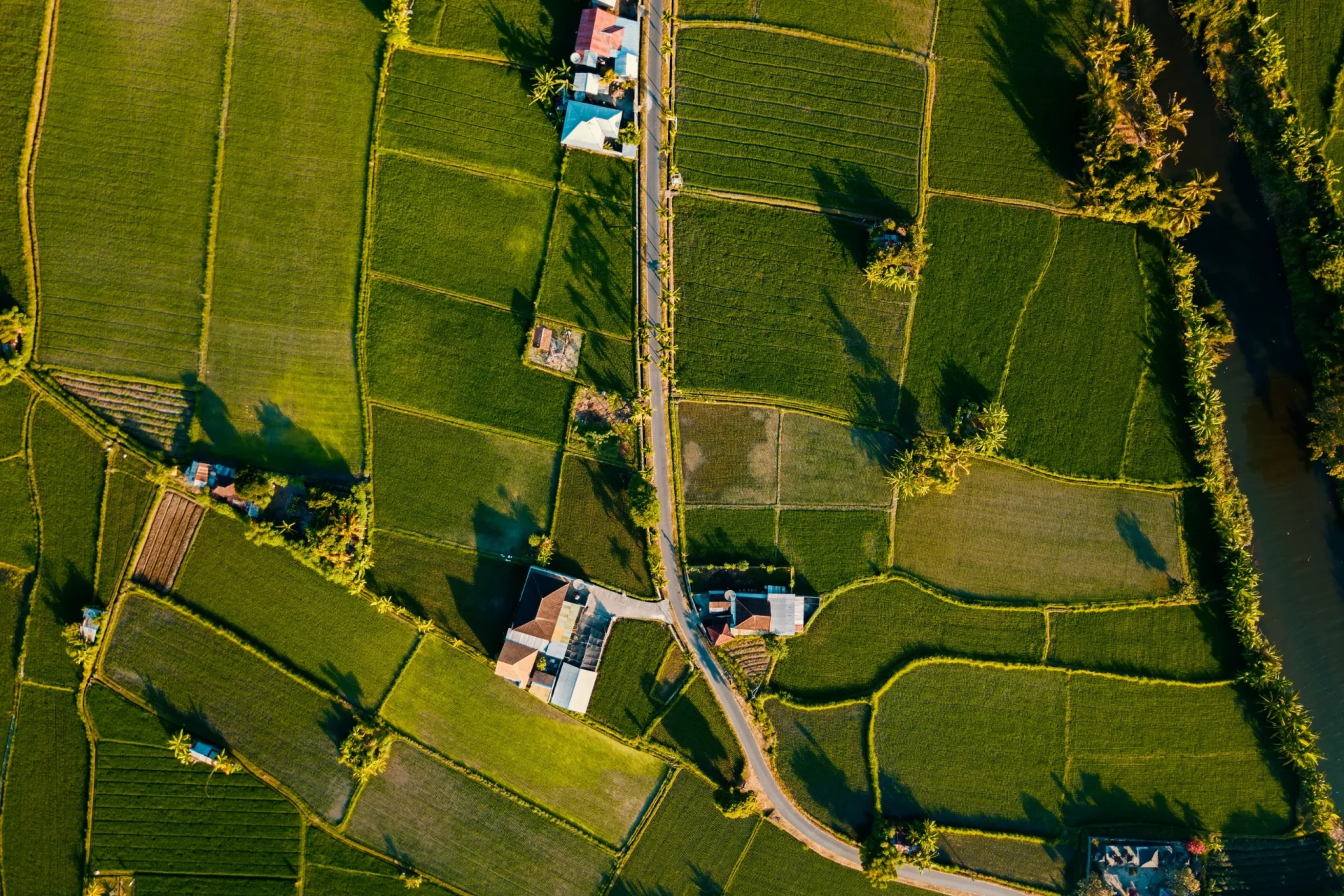 Rural development background - webp